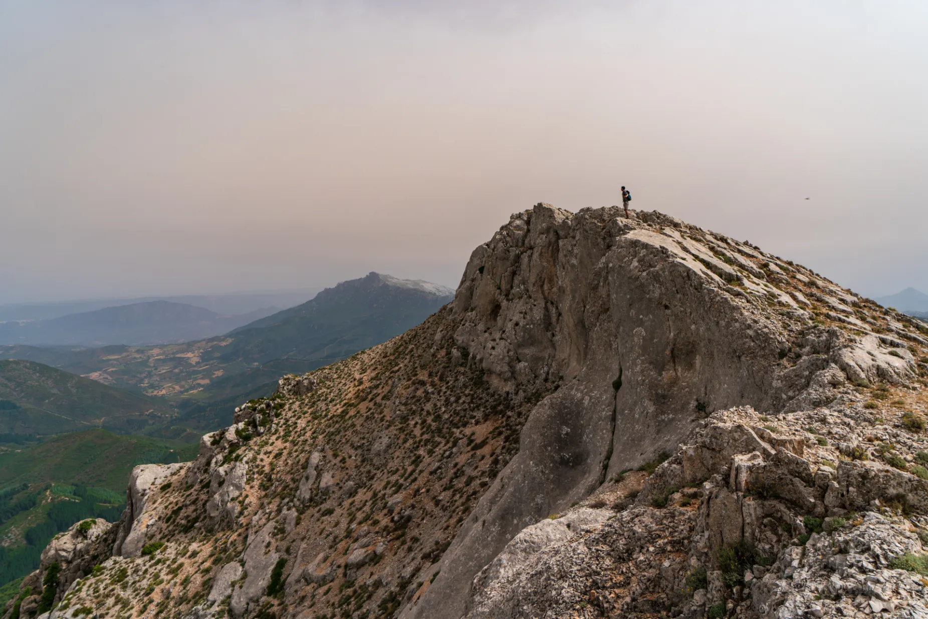 Punta Sa Pruna, Supramonte di Orgosolo (NU), Sardegna. ph. Sara Furlanetto