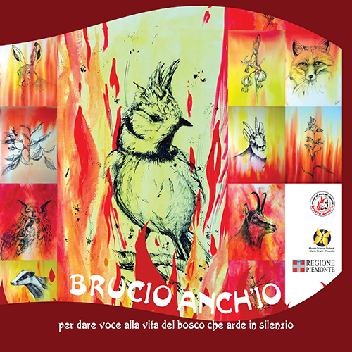 catalogo_brucio_webDEFINITIVO-1